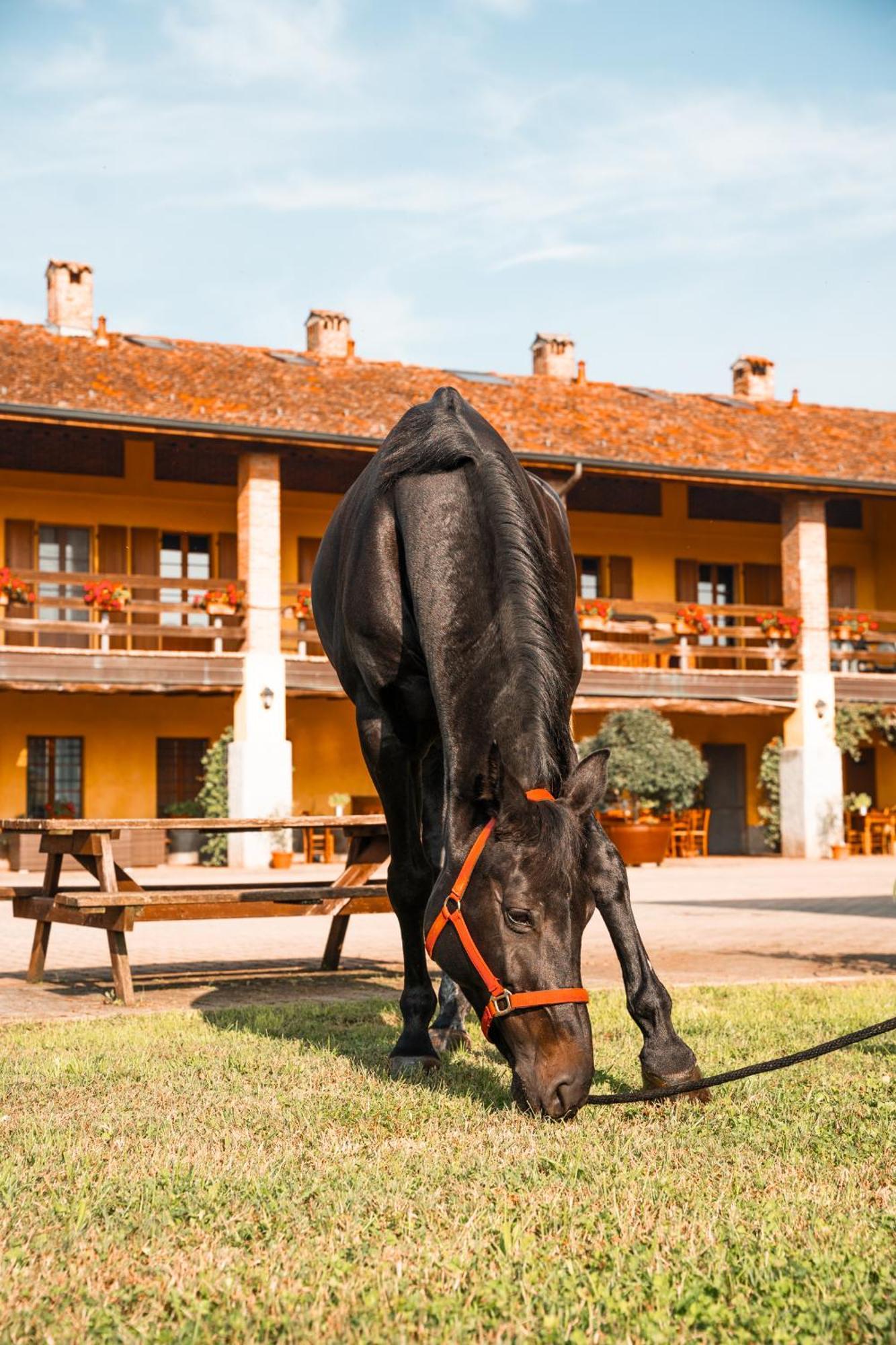 Agriturismo Bassanella Treviglio Kültér fotó